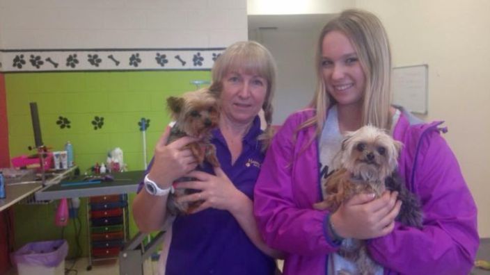 The incriminating photo of Johnny Depp's dogs in Queensland. Photo: ABC