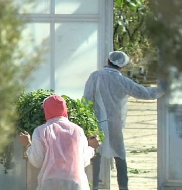 Migrant workers from Europe and Asia are being exploited in Australia by unscrupulous labour hire contractors.