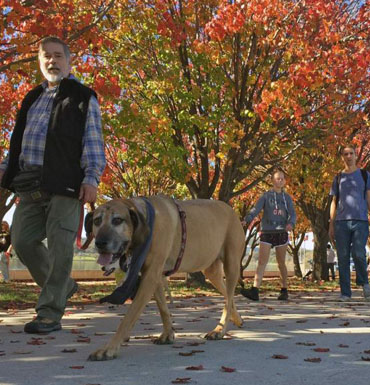 More than 1,000 dog owners enjoyed a walk around Lake Burley Griffin in Canberra for the RSPCA's Million Paws Walk.