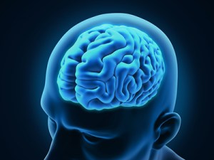 brain-300615-newdaily
