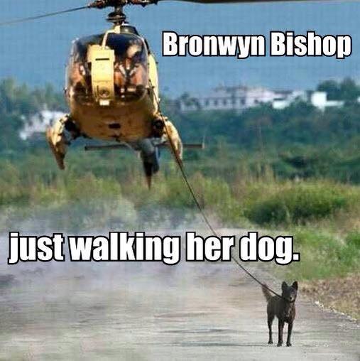 Bronwyn Bishop meme