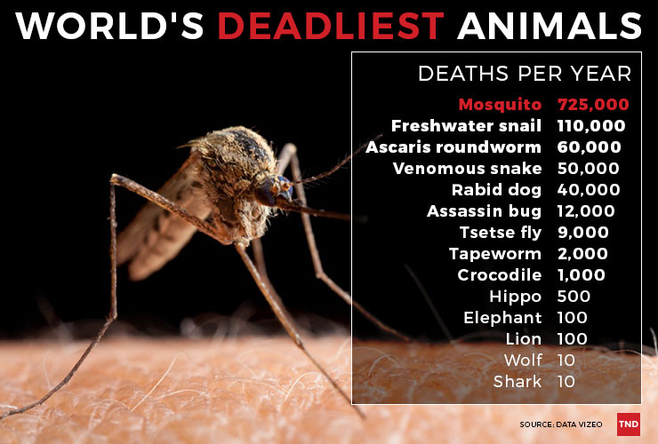 TND-infographic-worlds-deadliest-animals-740wide-FINAL-colour