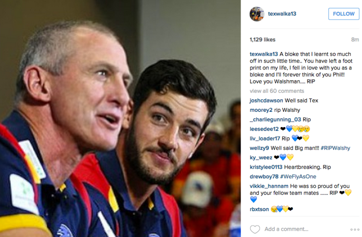 TaylorWalker reaction-tnd