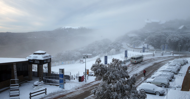 Snow bunnies lapped up the conditions at Mt Buller.