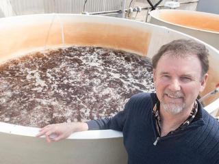 langdon bacon seaweed 