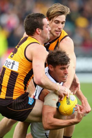 Hawthorn monstered Fremantle last week - but it was just one game. Photo: Getty