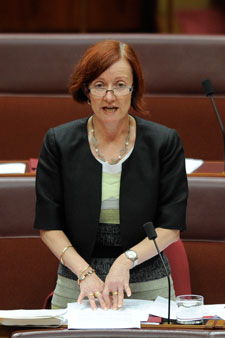 Ms Siewert feels climate change was not considered enough. Photo: AAP