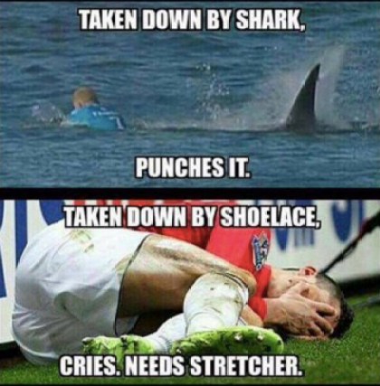 sharkmeme5