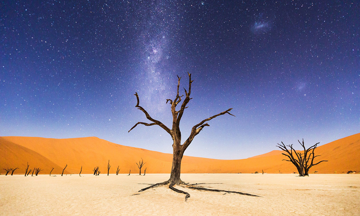A night at Deadvlei: The night before returning to Windhoek, we spent several hours at Deadveli in Namibia. The moon was bright enough to illuminate the sand dunes in the distance, but the skies were still dark enough to clearly see the milky way and magellanic clouds. Deadveli means "dead marsh." The camelthorn trees are believed to be about 900 years old, but have not decomposed because the environment is so dry. Photo: Beth McCarley - National Geographic Traveler Photo Contest