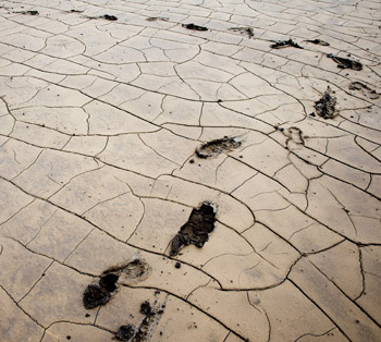 World's newest island