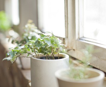 Winter proof your home