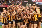Hawthorn AFL premiership 2013