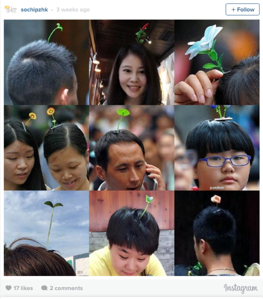 Screen Shot 2015-09-25 at 10.07.25 am