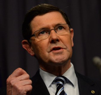 The Defence Minister confirmed the strikes.