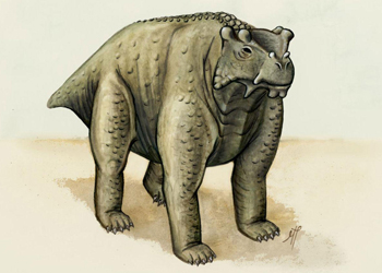 The. Photo: Morgan Turner