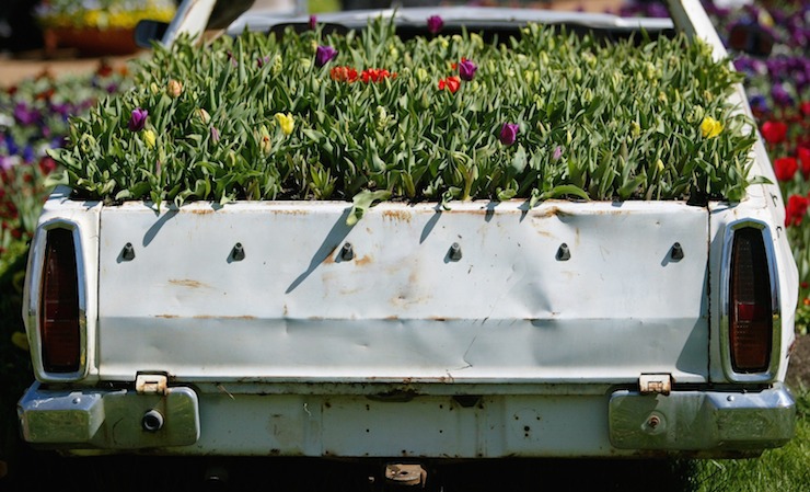Floriade is well worth the road trip. Photo: Getty