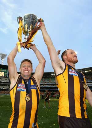 Hawthorn Premiers 2013