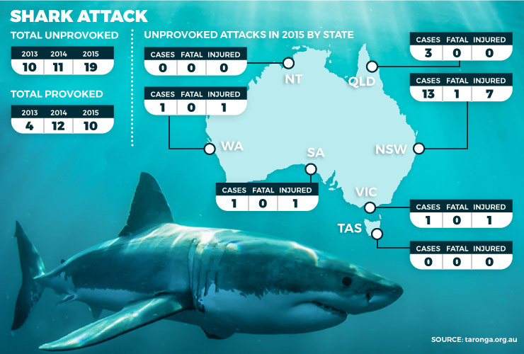 sharkpic-180915-thenewdaily