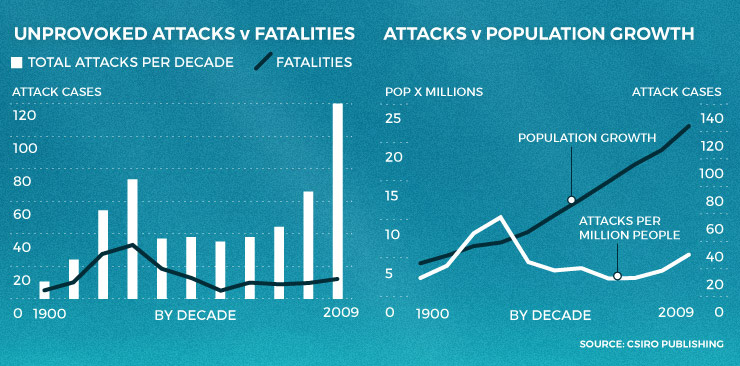 sharkpopulation-250915-thenewdaily
