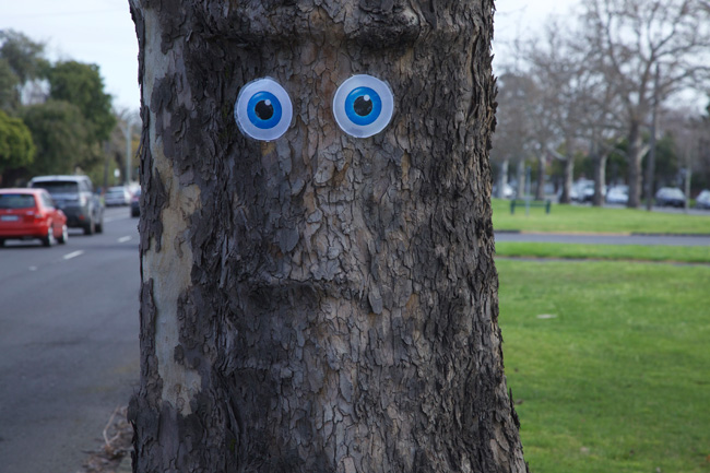 Perhaps this tree is scared she's off to the wood chipper. Photo: The Weekly Review