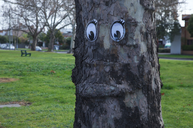 This guy is having a tantrum. Photo: The Weekly Review