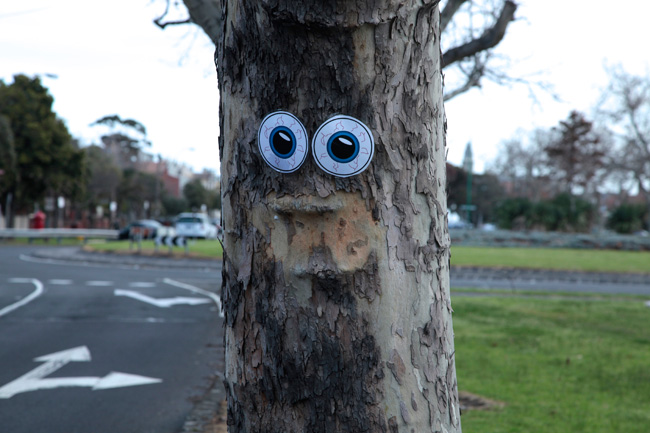 This guy needs to lay off the caffeine. Photo: The Weekly Review