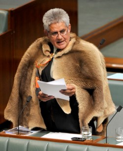 Wyatt delivers his maiden speech in 2010. Photo: AAP