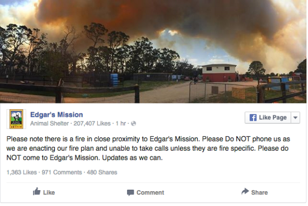 Screen Shot 2015-10-06 at 3.11.10 pm