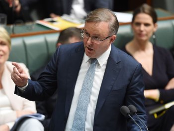 Anthony Albanese