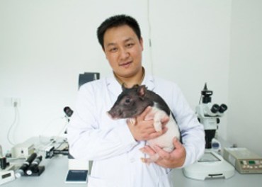 Geneticists disabled the piglet's ability to grow bigger. Photo: BGI
