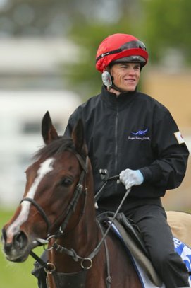 Hokko Brave jockey Craig Williams in trackwork. Photo: Getty