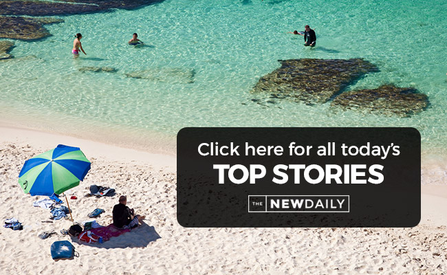 fremantle-top-stories