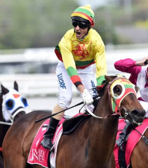 Glen Boss rides Lucky Hussler to victory on Caulfield Guineas Day last week. Photo: AAP