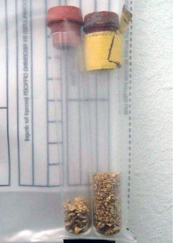 gold kimberley theft