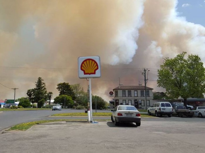 lancefield-060915-thenewdaily