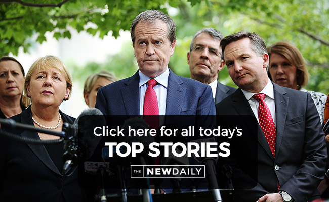 shorten-macklin-top-stories