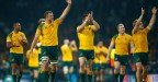 wallabies1
