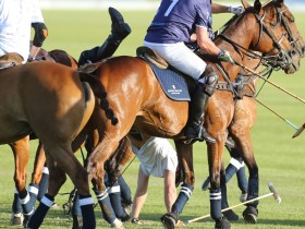 Prince Harry falls off his horse for a second time.