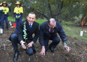 Tony Abbott Green ARmy