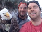 bald eagle rescued