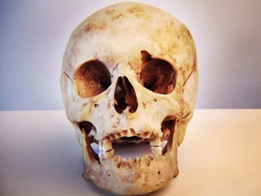 humanskull