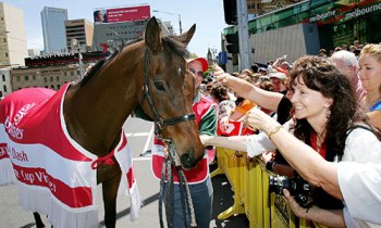Former Melbourne Cup winner Just a Dash, who won the race in 1981 and is now 28-years-old, is patted by well-wishers during a Melbourne Cup pre-race parade through the streets of central Melbourne, 31 October 2005. Australian star horse Makybe Diva is attempting to become the first horse to win the 3.75 million USD race three times in a row. As well as been given a heavy handicap, Makybe Diva needs to beat the best horses from Japan, South Africa, Great Britain and Australia. AFP PHOTO/William WEST