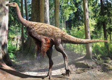 Ornithomimus dinosaur