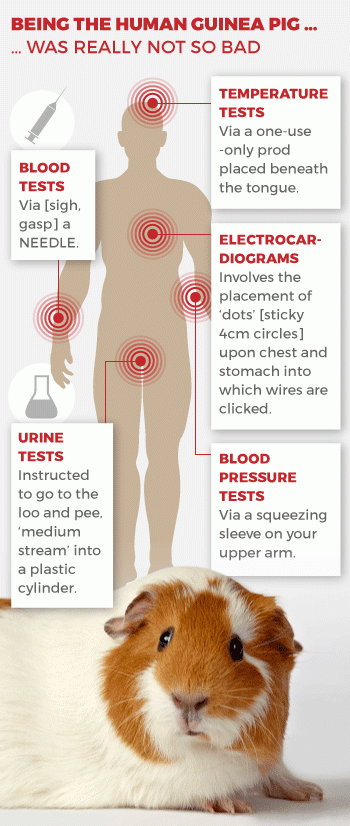 1216human-guinea-pig