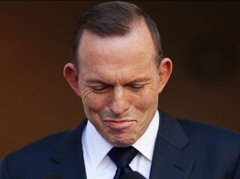 tony abbott