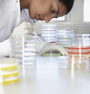 gene-editing-071215-newdaily