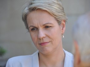 Federal Deputy Leader Tanya Plibersek during the Labor Party's campaign launch for the re-run West Australian Senate election in Perth, Tuesday, March 11, 2014. The poll on April 5 will be the fourth time WA voters head to the polls since the state election in March last year. (AAP Image/Tim Clarke) NO ARCHIVING