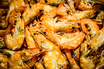 The scandal has broken just in time for Australian summer. Photo: Getty