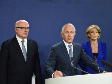 turnbull brandis cash