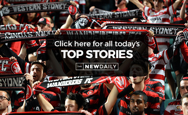 wanderers-top-stories